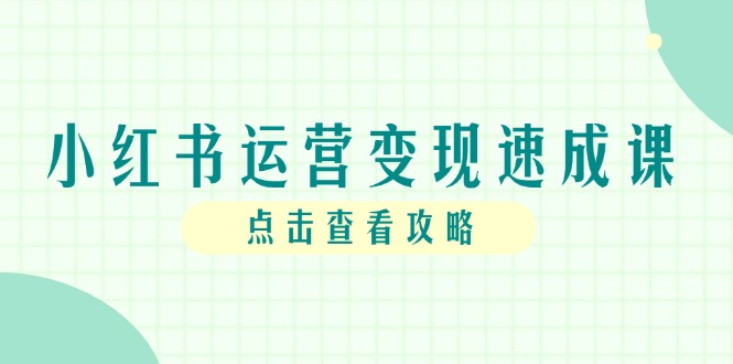 小红书运营变现速成课，账号搭建到暴力起号，个人IP全流程指南-小艾项目网