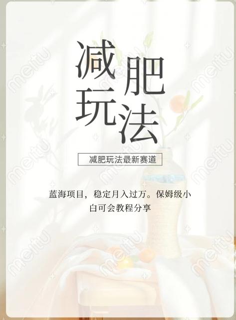 减肥流量主新玩法，轻松月入1W，可矩阵操作收入翻倍-百盛轻创