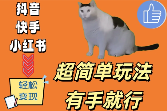 超简单玩法，有手就行，靠猫咪视频日入500+【揭秘】-小艾项目网