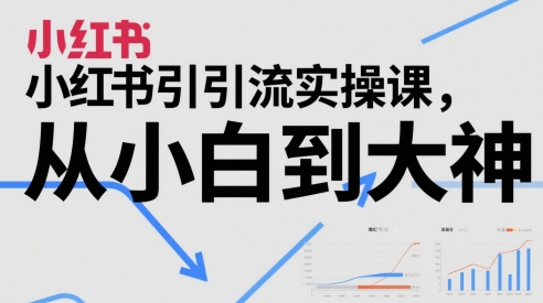 小红书引流实操课，从小白到大神-小艾项目网