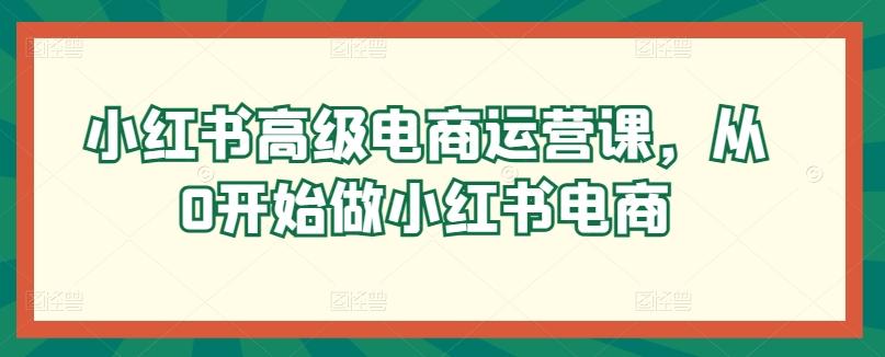 小红书高级电商运营课，从0开始做小红书电商-百盛轻创