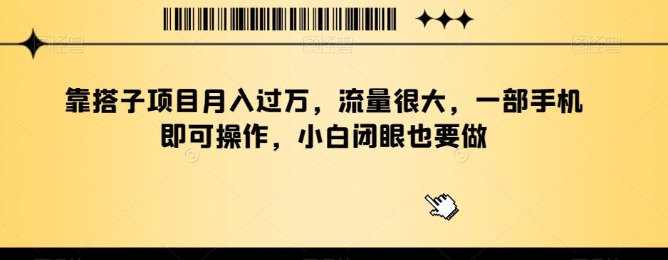 靠搭子项目月入过万，流量很大，一部手机即可操作，小白闭眼也要做-百盛轻创