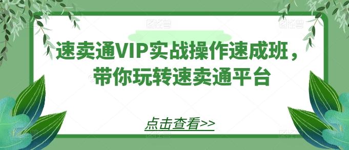 速卖通VIP实战操作速成班，带你玩转速卖通平台-百盛轻创