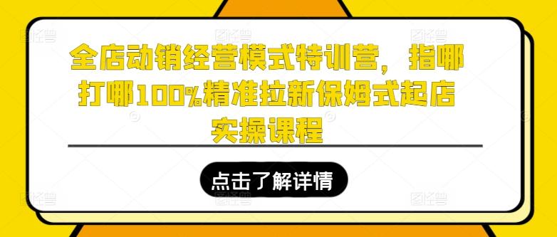 全店动销经营模式特训营，指哪打哪100%精准拉新保姆式起店实操课程-百盛轻创