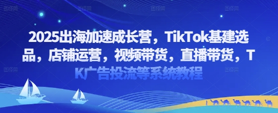 2025出海加速成长营，TikTok基建选品，店铺运营，视频带货，直播带货，TK广告投流等系统教程-百盛轻创