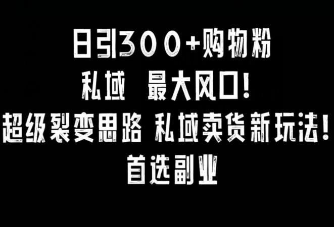 日引300+购物粉，超级裂变思路，私域卖货新玩法，小红书首选副业【揭秘】-小艾项目网