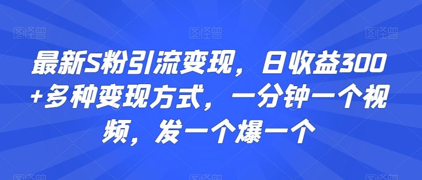 最新S粉引流变现，日收益300+多种变现方式，一分钟一个视频，发一个爆一个【揭秘】-百盛轻创