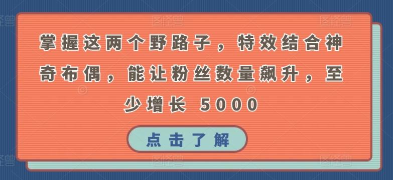 掌握这两个野路子，特效结合神奇布偶，能让粉丝数量飙升，至少增长 5000【揭秘】-小艾项目网
