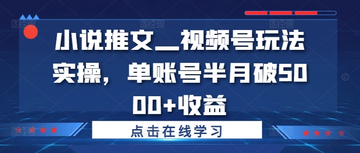 小说推文—视频号玩法实操，单账号半月破5000+收益-百盛轻创