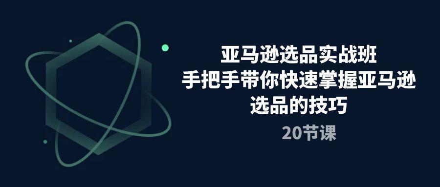 亚马逊选品实战班，手把手带你快速掌握亚马逊选品的技巧(20节课-小艾项目网