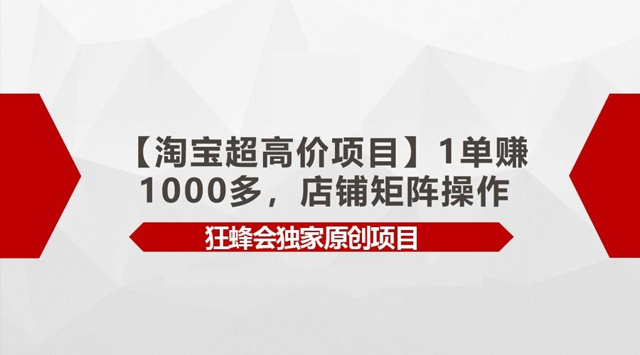 【淘宝超高价项目】1单赚1000多,店铺矩阵操作-小艾项目网