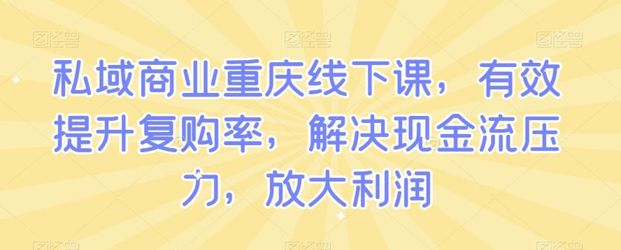 私域商业重庆线下课，有效提升复购率，解决现金流压力，放大利润-百盛轻创