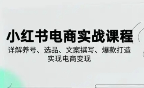 小红书从0-1实操课(2023-2025)，详解养号、选品、文案撰写、爆款打造实现电商变现-百盛轻创