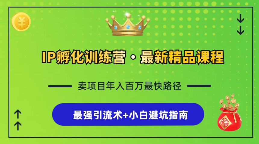 IP孵化训练营，知识付费全流程+最强引流术+小白避坑指南-百盛轻创