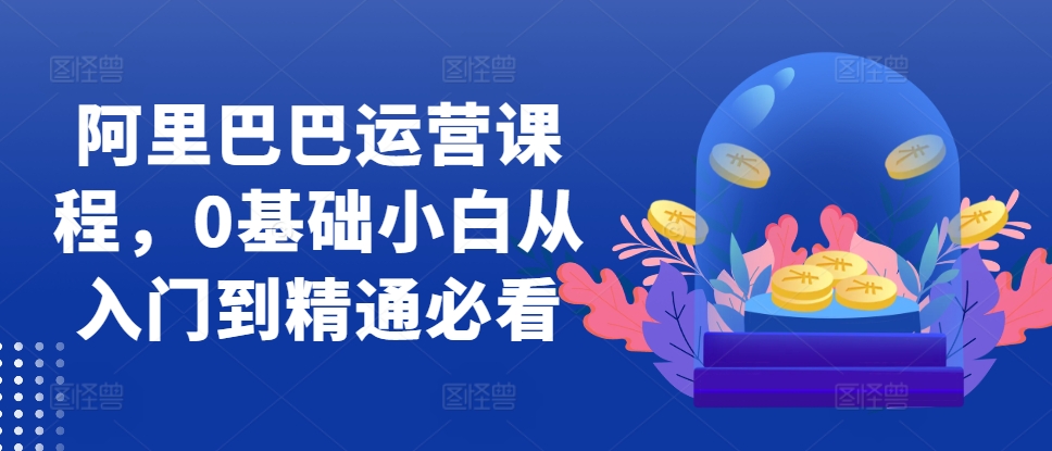 阿里巴巴运营课程，0基础小白从入门到精通必看-百盛轻创