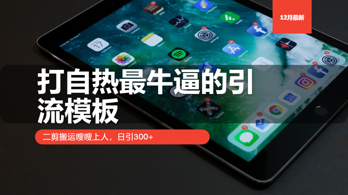 打自热最牛逼的引流模板，二剪搬运嗖嗖上人，日引300+-小艾项目网