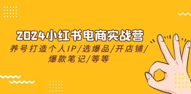 2024小红书电商实战营，养号打造IP/选爆品/开店铺/爆款笔记/等等(24节)-百盛轻创