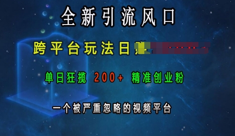 全新引流风口，跨平台玩法日入上k，单日狂揽200+精准创业粉，一个被严重忽略的视频平台-百盛轻创