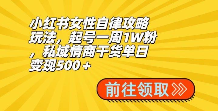 小红书女性自律攻略玩法，起号一周1W粉，私域情商干货单日变现500＋-小艾项目网