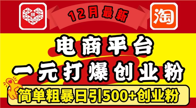 12月最新：电商平台1元打爆创业粉，简单粗暴日引500+精准创业粉，轻松月入过W【揭秘】-百盛轻创