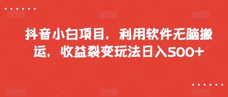 抖音小白项目，利用软件无脑搬运，收益裂变玩法日入500+【揭秘】-小艾项目网