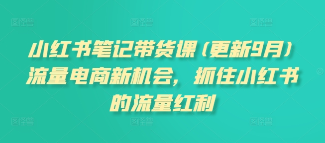 小红书笔记带货课(更新25年1月)流量电商新机会，抓住小红书的流量红利-小艾项目网