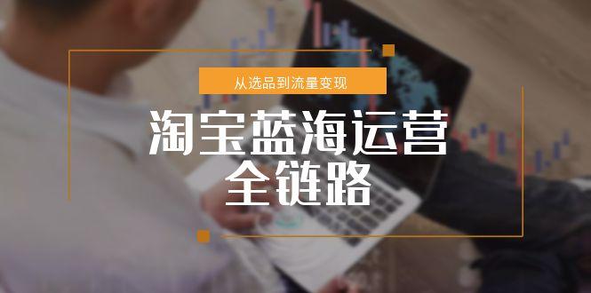 淘宝蓝海运营全链路，从选品到流量变现，小类目突围完整方案-百盛轻创