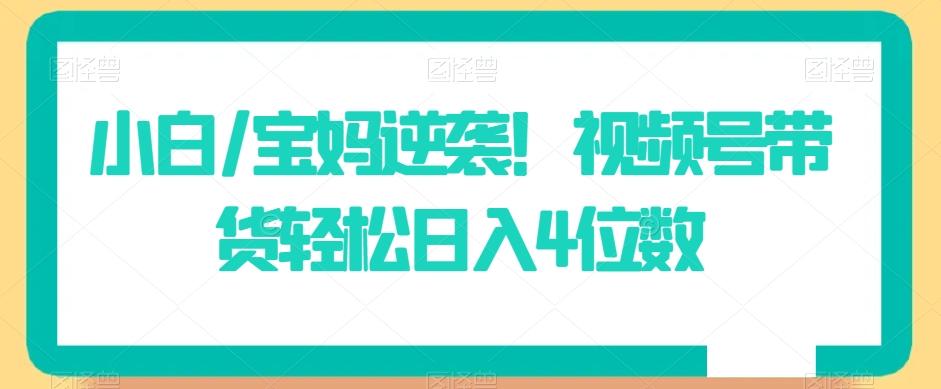 小白/宝妈逆袭！视频号带货轻松日入4位数【揭秘】-百盛轻创