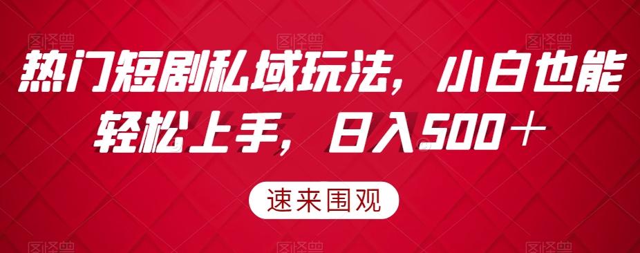 热门短剧私域玩法，小白也能轻松上手，日入500＋-小艾项目网