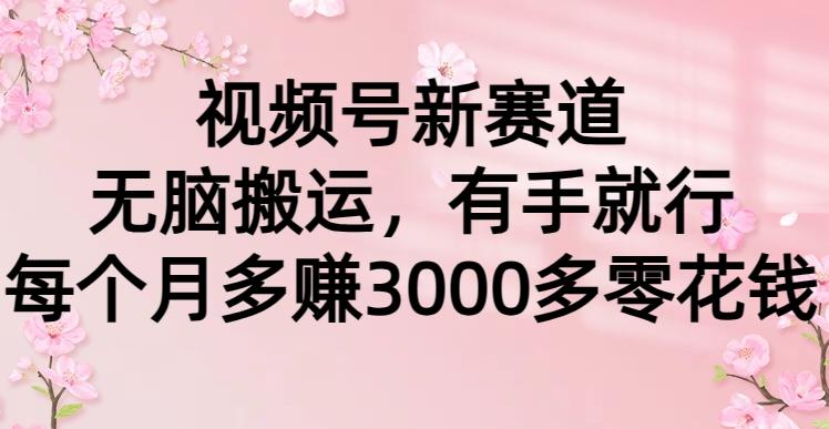 (9278期)视频号新赛道，无脑搬运，有手就行，每个月多赚3000多零花钱-小艾项目网