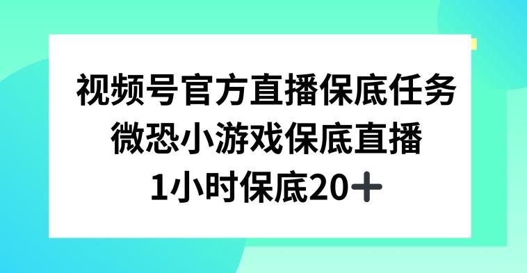 视频号直播任务，微恐小游戏，1小时20+【揭秘】-百盛轻创
