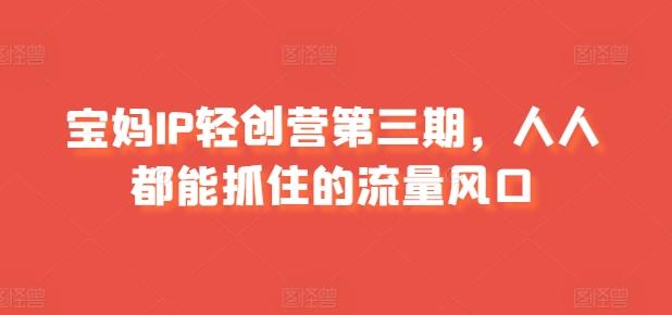 宝妈IP轻创营第三期，人人都能抓住的流量风口-小艾项目网