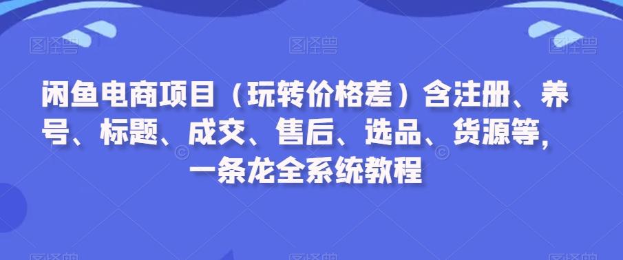 闲鱼电商项目(玩转价格差)含注册、养号、标题、成交、售后、选品、货源等，一条龙全系统教程-百盛轻创