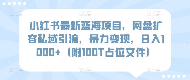 小红书最新蓝海项目，网盘扩容私域引流，暴力变现，日入1000+(附100T占位文件)【揭秘】-百盛轻创