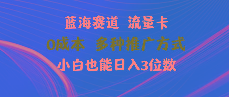 蓝海赛道 流量卡 0成本 小白也能日入三位数-百盛轻创