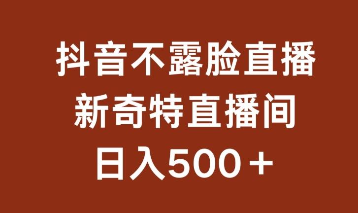 不露脸挂机直播，新奇特直播间，日入500+【揭秘】-百盛轻创