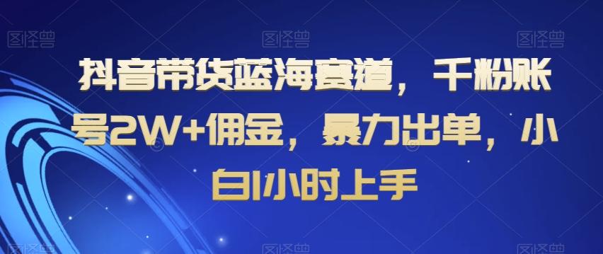 抖音带货蓝海赛道，千粉账号2W+佣金，暴力出单，小白1小时上手【揭秘】-百盛轻创