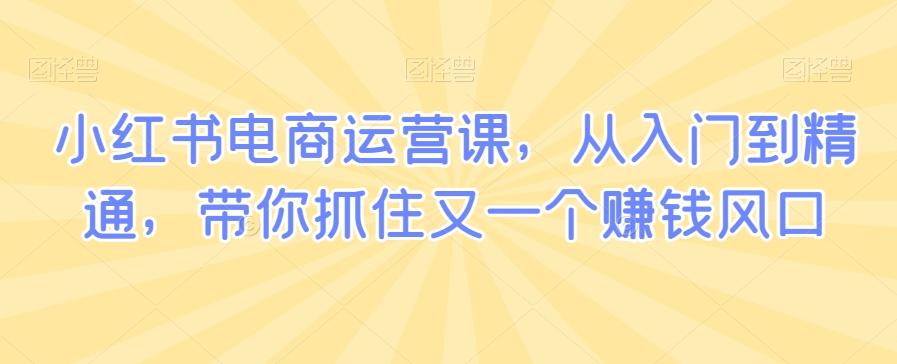 小红书电商运营课，从入门到精通，带你抓住又一个赚钱风口-百盛轻创