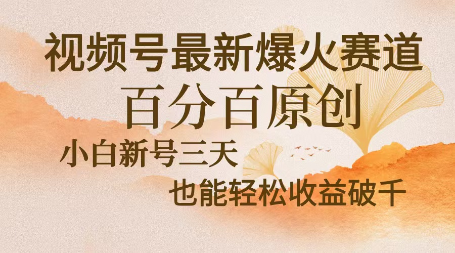 视频号最新爆火赛道，中老年粉深信不疑，百分百原创，新号三天收益轻松…-百盛轻创
