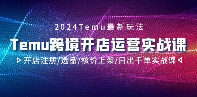 2024Temu跨境开店运营实战课，开店注册/选品/核价上架/日出千单实战课-百盛轻创