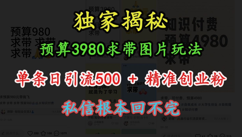 预算3980求带 图片玩法，单条日引流500+精准创业粉，私信根本回不完-百盛轻创