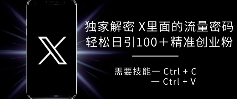 独家解密 X 里面的流量密码，复制粘贴轻松日引100+-百盛轻创
