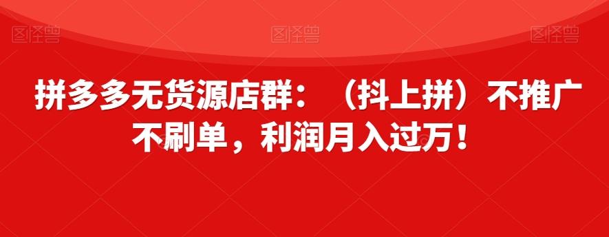 拼多多无货源店群：（抖上拼）不推广不刷单，利润月入过万！【揭秘】-小艾项目网