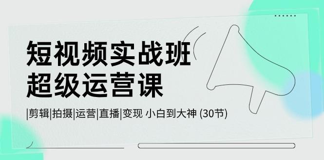 短视频实战班超级运营课 |剪辑|拍摄|运营|直播|变现 小白到大神 (30节)-百盛轻创