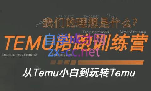 苗苗·拼多多跨境（temu）课程-百盛轻创