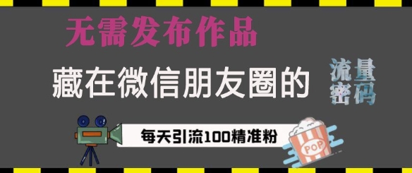 藏在微信朋友圈的流量密码，无需发布作品，单日引流100+精准创业粉【揭秘】-百盛轻创