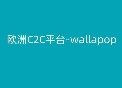 欧洲C2C平台-wallapop-kim跨境电商教程-百盛轻创