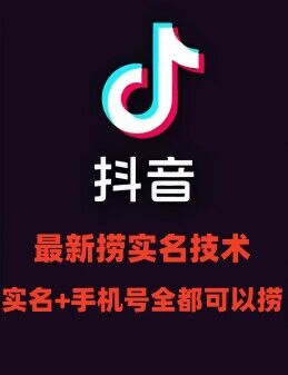 最新技术抖音捞实名+捞手机号技术，抖音直播封禁释放十名/手机号，直接替换出来!-百盛轻创