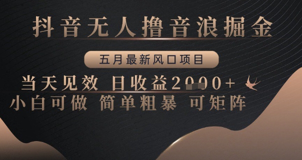 抖音无人撸音浪掘金，五月最新风口项目，当天见效，日收益多张，小白可做简单粗暴可矩阵【揭秘】-百盛轻创