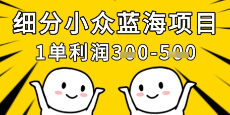 细分小众蓝海项目,一单利润3张,每月收入稳定过1w+